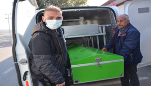 Urfa'da öldürülen teröristin cenazesi adli tıpa getirildi