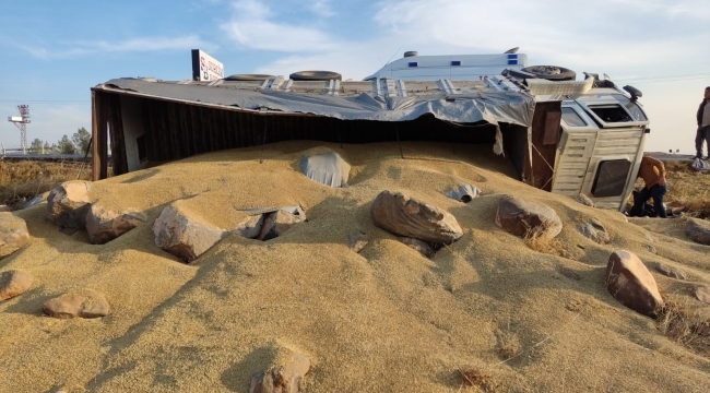 Urfa"da trafik kazası