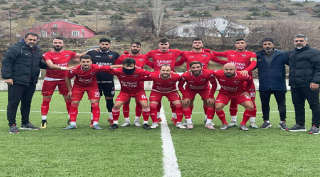 Viranşehir Belediyespor'un Zirve İnadı