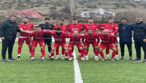 Viranşehir Belediyespor'un Zirve İnadı