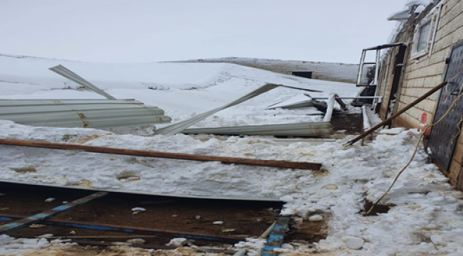 Ahırın çatısı çöktü, koyunlar telef oldu