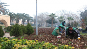 Balıklıgöl'de lale soğanları toprakla buluşturuldu