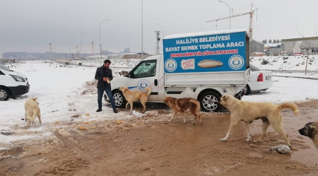 BAŞKAN CANPOLAT, KARLA MÜCADELE ÇALIŞMALARINI 