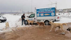 BAŞKAN CANPOLAT, KARLA MÜCADELE ÇALIŞMALARINI 