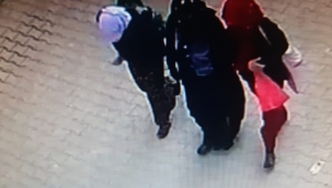 Birecik'te Euro hırsızları