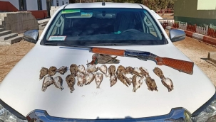 Ceylanpınar'da 1 kişi hakkında işlem yapıldı