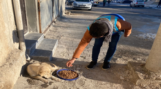 Eyyübiye Belediyesi 'Can Dostları' Unutmadı