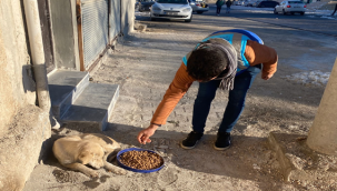 Eyyübiye Belediyesi 'Can Dostları' Unutmadı