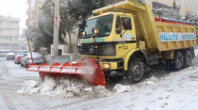 Haliliye Belediyesi Karla Mücadelede Yoğun Mesai Harcıyor