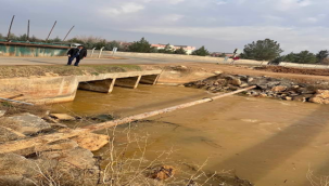 Harran ovasına verilen su Suriye'ye akıyor