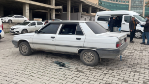 Şanlıurfa'da hastane bahçesinde silahlı kavga:, 3 yaralı