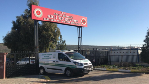 Şanlıurfa'da park halinde yanan araçta ceset bulundu