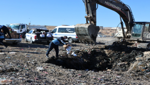 Şanlıurfa'da tonlarcası imha edildi