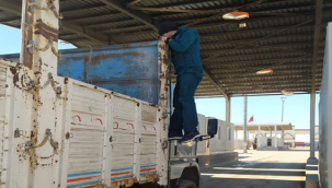 Şanlıurfa gümrük müdürlüğünde çalışılar aralıksız devam ediyor