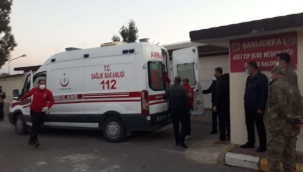 Şehitlerin cenazeleri Şanlıurfa'ya getirildi!