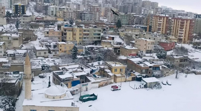 Urfa'da 2 ailenin acı günü