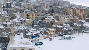 Urfa'da 2 ailenin acı günü