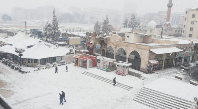 Urfa'da 2 vatandaş hayatını kaybetti