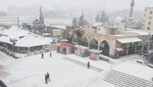 Urfa'da 2 vatandaş hayatını kaybetti