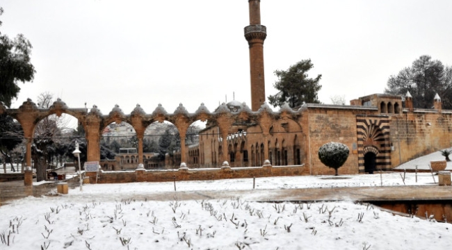 Urfa'da 5 vatandaş hayatını kaybetti