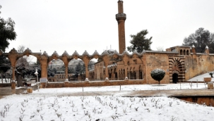 Urfa'da 5 vatandaş hayatını kaybetti