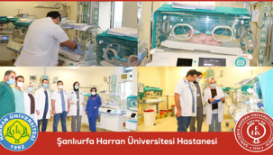 Urfa'da dördüzlerin yaşam mücadelesi