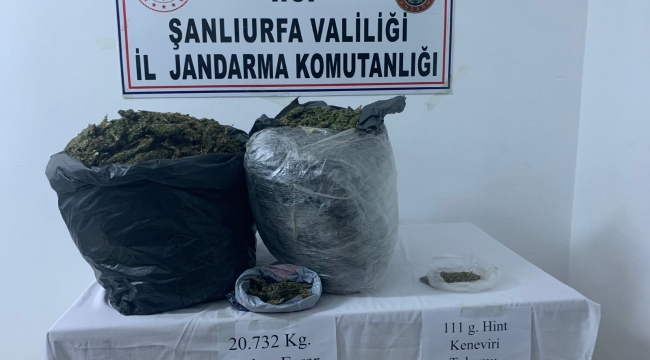 Urfa"da uyuşturucu operasyonu