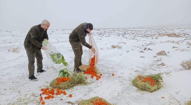 Urfa"da yaban hayvanları için doğaya 1 ton yem bırakıldı.