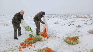 Urfa"da yaban hayvanları için doğaya 1 ton yem bırakıldı.