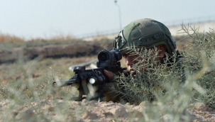 Urfa sınırda saldırı önlendi