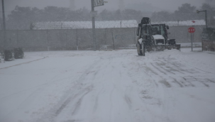 Viranşehir Belediyesinden Karla Mücadele Çalışması