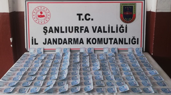 Viranşehir'de sahte para operasyonu