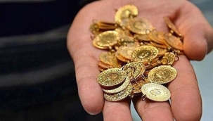 Altında yükseliş devam ediyor