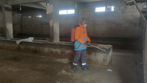 Büyükşehir'den Birecik İlçesinde Vektörle Mücadele Çalışması 