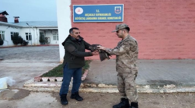 Şanlıurfa'da jandarma yaralı halde buldu!
