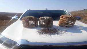 Şanlıurfa'da kaçak avcılara 16 bin 944 TL ceza!