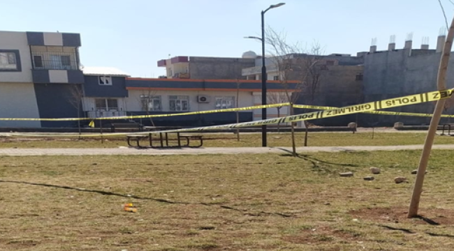 Şanlıurfa'da parkta oturan gencin kafasına kurşun isabet etti