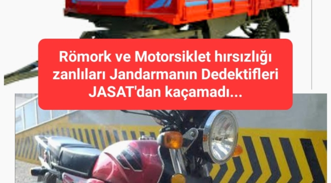 Şanlıurfa'daki hırsızı JASAT yakaladı