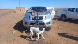 Urfa'da 5 kaçak avcı yakalandı