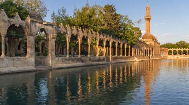 Urfa'da 5 kişi hayatını kaybetti