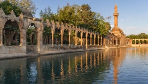 Urfa'da 5 kişi hayatını kaybetti