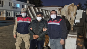 Urfalı besicinin emeğini JASAT kurtardı