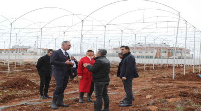 Eyyübiye Belediyesinin dev istihdam projesi başladı