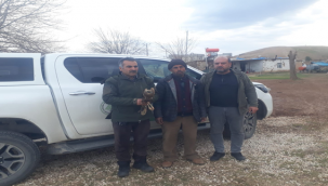 Şanlıurfa'da doğa koruma yaralı kuşları tedavi altına aldı