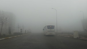 Şanlıurfa'da sis görüş mesafesine düşürdü