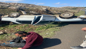 Suruç'ta trafik kazası, 2 yaralı