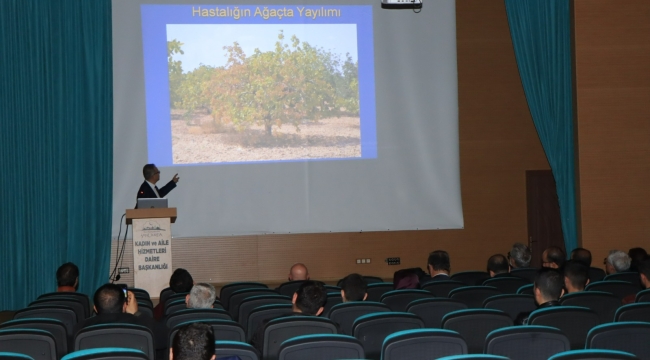 Urfa'da fıstık üreticilerine seminer