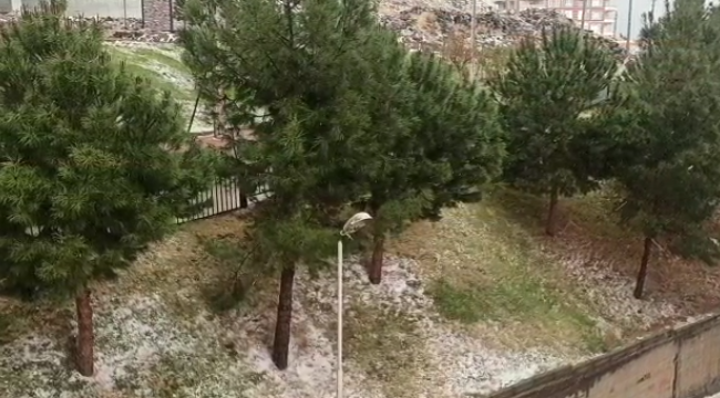 Urfa'ya kar yağdı