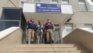 Akçakale'de jandarma ekipleri yaralı halde buldu!