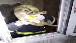 Apartman Boşluğuna Düşen Köpek Kurtarıldı